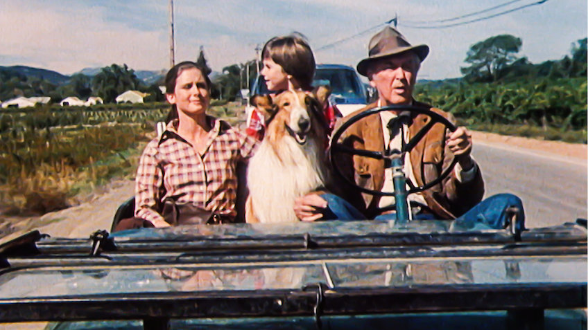 The Magic Of Lassie Is The Magic Of Lassie On Netflix Flixlist